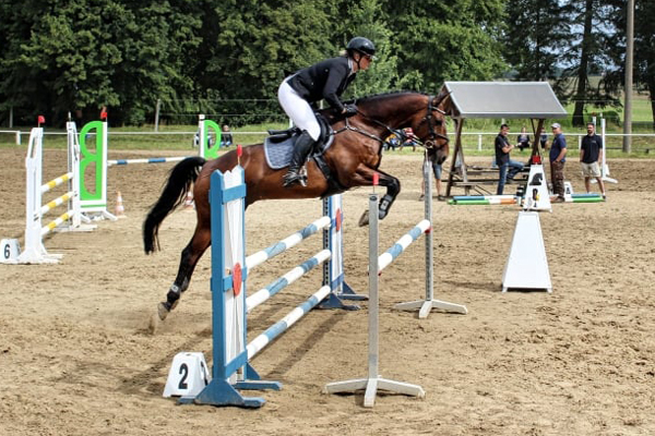 Klose von Shavalou u.d. Kida v. Schampus u.d. Pr.St. Kassis von Kostolany, Zchter: Bernhard Langels
