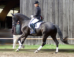 Korleone by Kostolany - Langatha Express xx
