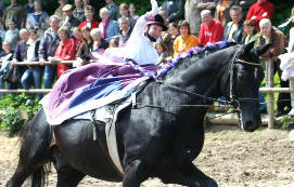 Kostolany und Johanna - hier anläßlich der Fohlenschau in Hämelschenburg im Juni 2006