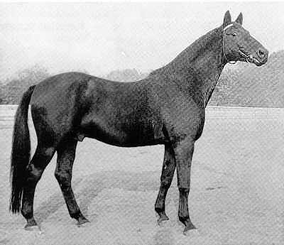 Kosmos von Hansakapitän, Foto: Archiv