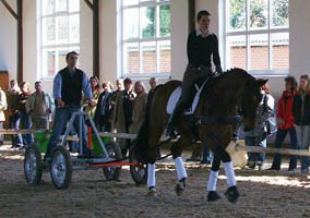 Demonstration bei Lutker Beerbaum: Showtime vor der Krauftrainingskutsche