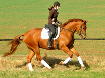 Jahrgang 2007