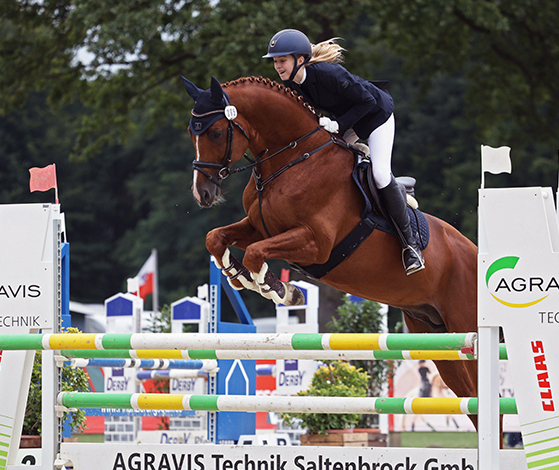 Impressionen - Juli 2023 - Trakehner Gestt Hmelschenburg  - Foto: Beate Langels