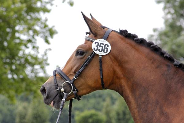 Schwalbenherzchen v. Freudenfest u.d. Schwalbenflair v. Exclusiv im Sommer 2012, Foto: Lune Jancke