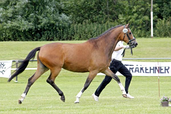 Schwalbenherzchen v. Freudenfest u.d. Schwalbenflair v. Exclusiv im Sommer 2012, Foto: Lune Jancke