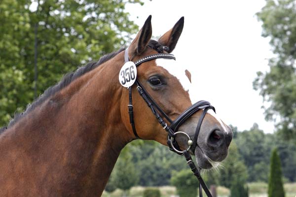 Schwalbenherzchen v. Freudenfest u.d. Schwalbenflair v. Exclusiv im Sommer 2012, Foto: Lune Jancke