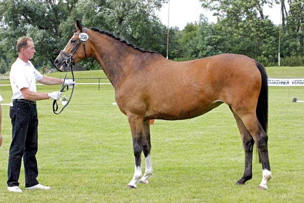 Schwalbenherzchen v. Freudenfest u.d. Schwalbenflair v. Exclusiv im Sommer 2012, Foto: Lune Jancke