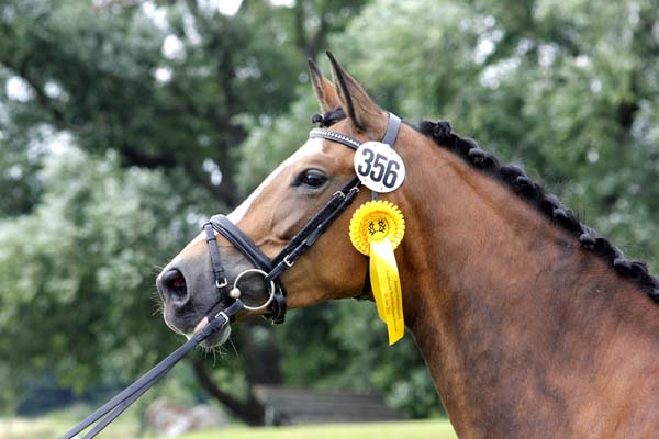 Schwalbenherzchen v. Freudenfest u.d. Schwalbenflair v. Exclusiv im Sommer 2012, Foto: Lune Jancke