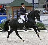 Totilas und Edward Gal - fotografiert von Lune Jancke