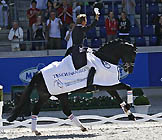 Totilas - aufgenommen von Lune Jancke