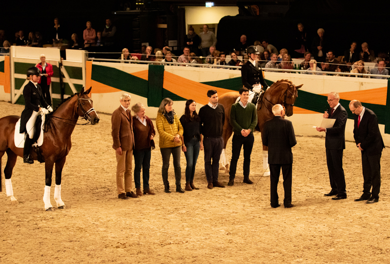 Trakehner Galaabend 2021  - Foto: Meike Dsterwald - Trakehner Gestt Hmelschenburg