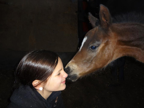 Hengstfohlen von Summertime, Foto: Merkle
