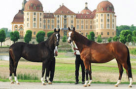 The Champions of Moritzburg: Greta Garbo and  Gacia Patrizia - both byAlter Fritz out of Gloriette by Kostolany