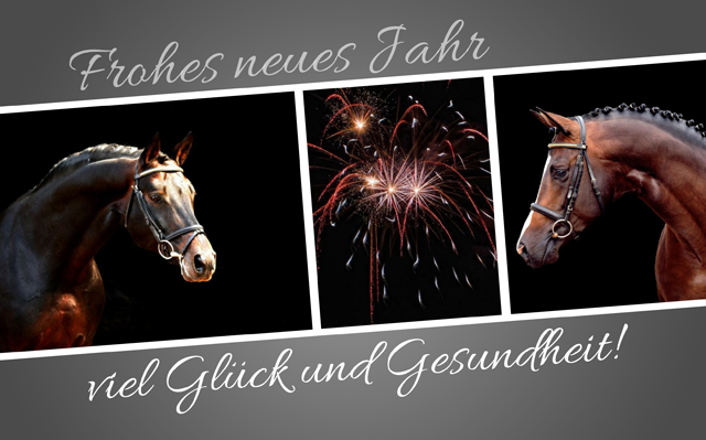 Frohes neues Jahr - Foto: Beate Langels - Trakehner Gestt Hmelschenburg