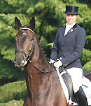 Seal von Gribaldi u.d. Schwalbenspiel v. Exclusiv und Terhi Stegars