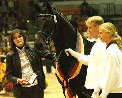 Songline by Summertime out of Schwalbenspiel by Exclusiv - Champion at the Trakehner Selection 2006, picture: Peter Richterich