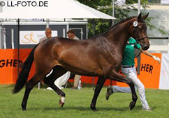 Greta von Oliver Twist x Hofrat