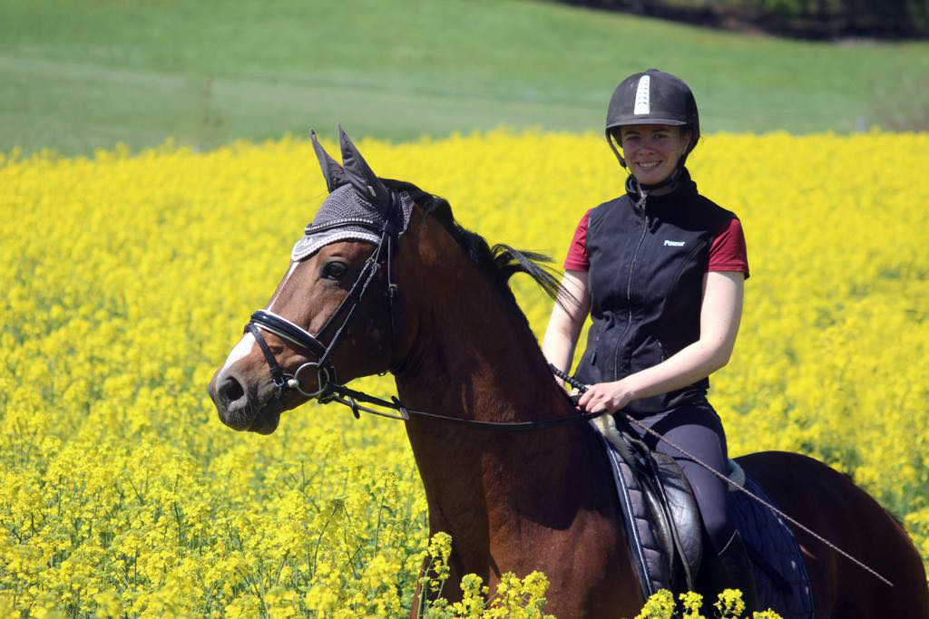 Trakehner Hengst HIGH MOTION v. Saint Cyr Foto: Pauline Rolfing - Trakehner Gestt Hmelschenburg