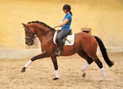 August 2019 - Impressionen - Trakehner Gestt Hmelschenburg 2019 - Foto: Beate Langels