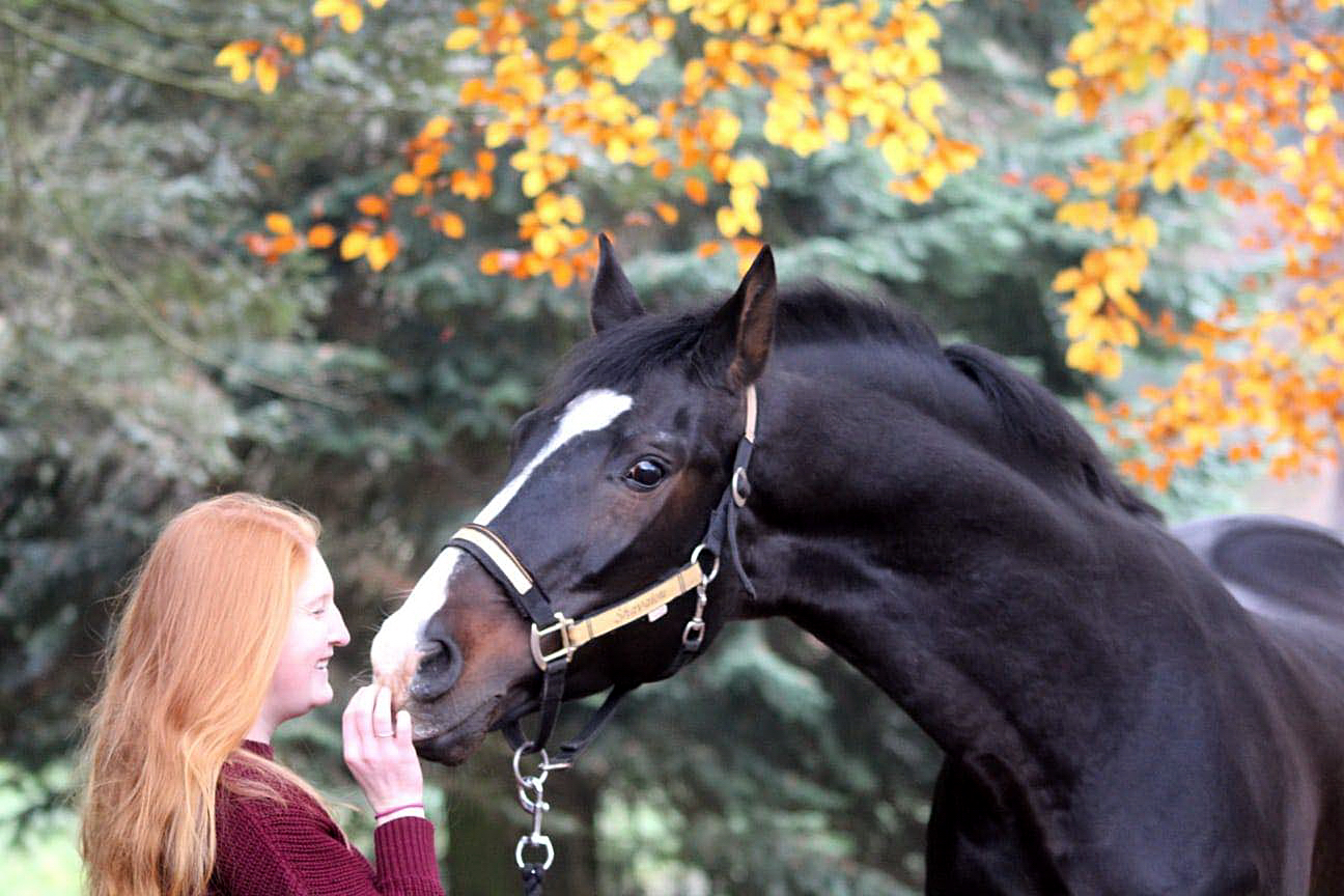 Shavalou und Johanna 13. November 2021 in Hmelschenburg  - Foto: Pauline Rohlfing - Trakehner Gestt Hmelschenburg