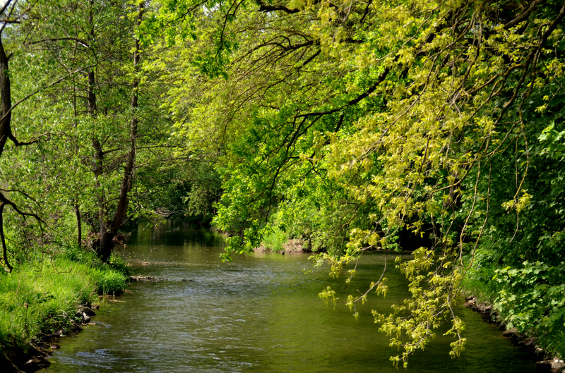 An der Emmer - Foto: Pia Elger