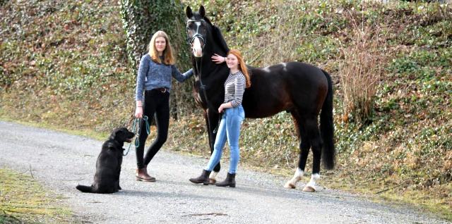 Shavalou - Foto: Rohlfing - 16. Februar 2020 - Trakehner Gestt Hmelschenburg - Beate Langels