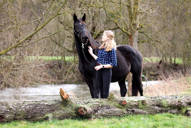 Pr.u.StPrSt. Vittoria - fotografiert von Johanna Kraus am 16. Februar 2020 - Trakehner Gestt Hmelschenburg - Beate Langels