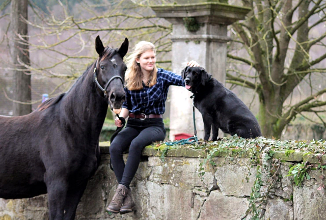 Pr.u.StPrSt. Vittoria - fotografiert von Johanna Kraus am 16. Februar 2020 - Trakehner Gestt Hmelschenburg - Beate Langels