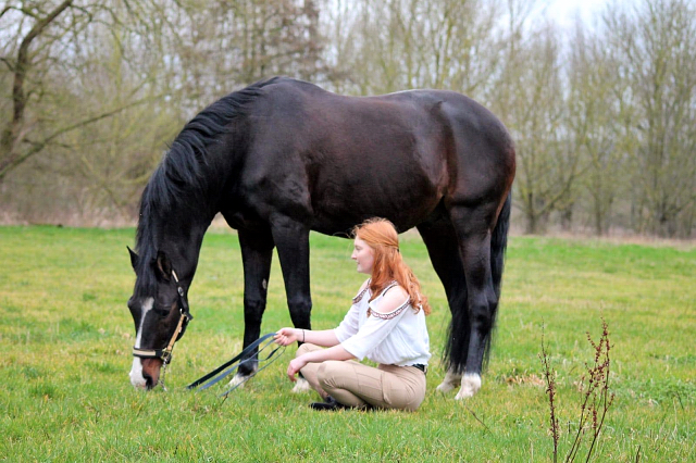 Shavalou - fotografiert von Pauline Rohlfing am 16. Februar 2020 - Trakehner Gestt Hmelschenburg - Beate Langels