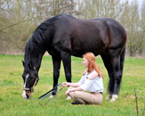 Impressionen vom Februar 2020 - Trakehner Gestt Hmelschenburg 2020 - Foto: Beate Langels