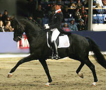 Sieger der Grand Prix Kr - Painted Black und Anky van Grunsven