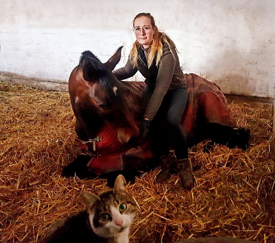 Karakallis, Jessica und Terror in Hmelschenburg - Trakehner Gestt Hmelschenburg - Beate Langels