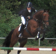 Trakehner Wallach Pompon von Freudenfest und Luise Wessely - Spa im Winter