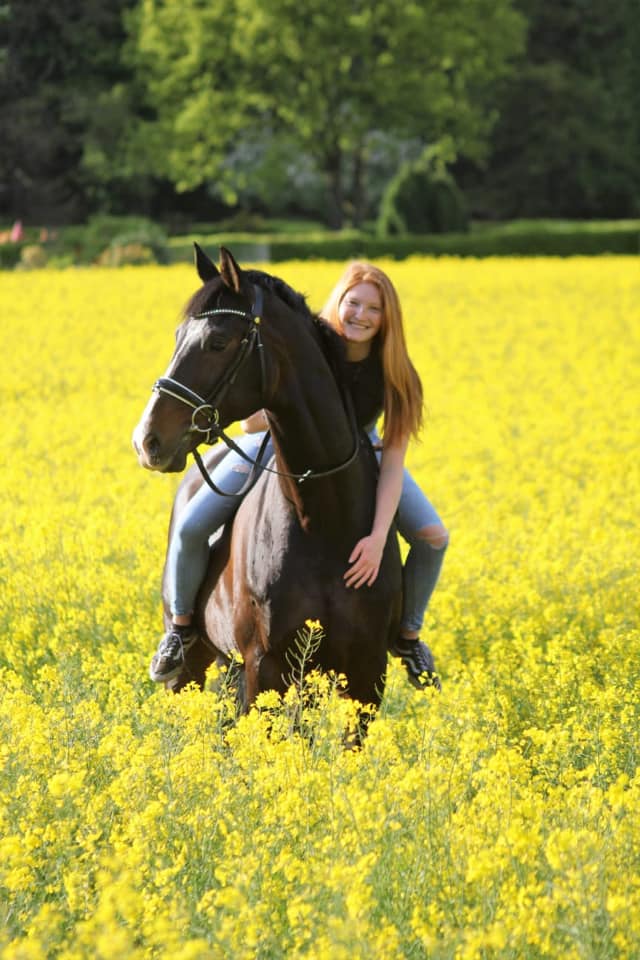 Shavalou und Johanna - Rapsblte in Hmelschenburg - Foto: Pauline Rohlfing - Trakehner Gestt Hmelschenburg