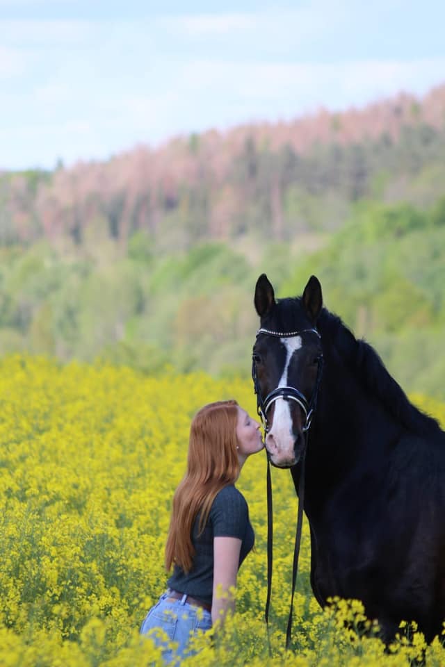 Shavalou und Johanna - Rapsblte in Hmelschenburg - Foto: Pauline Rohlfing - Trakehner Gestt Hmelschenburg