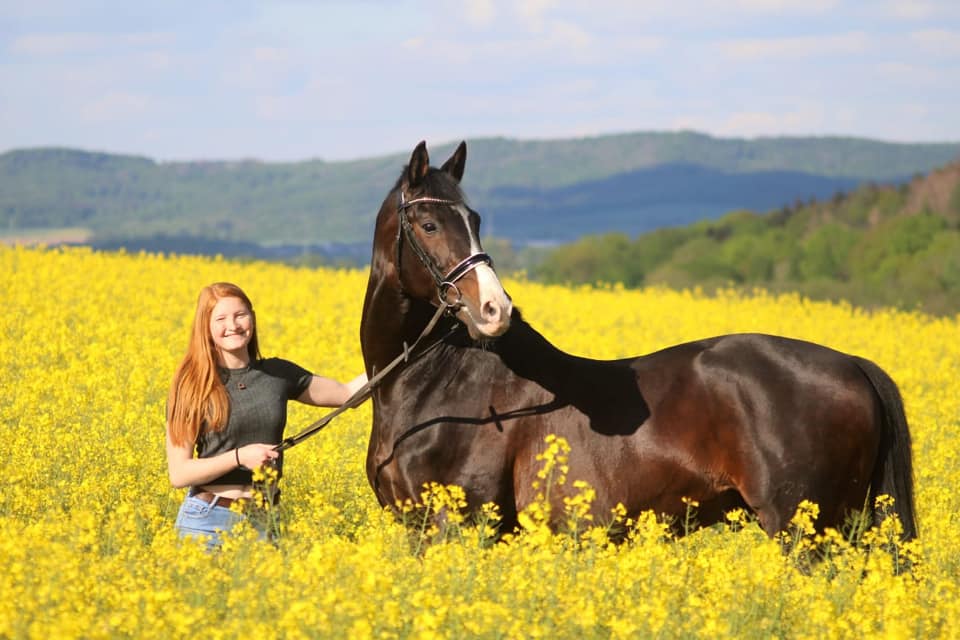 Shavalou und Johanna - Rapsblte in Hmelschenburg - Foto: Pauline Rohlfing - Trakehner Gestt Hmelschenburg