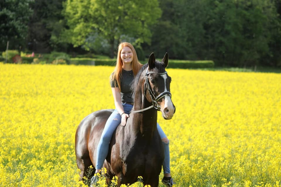 Shavalou und Johanna - Rapsblte in Hmelschenburg - Foto: Pauline Rohlfing - Trakehner Gestt Hmelschenburg