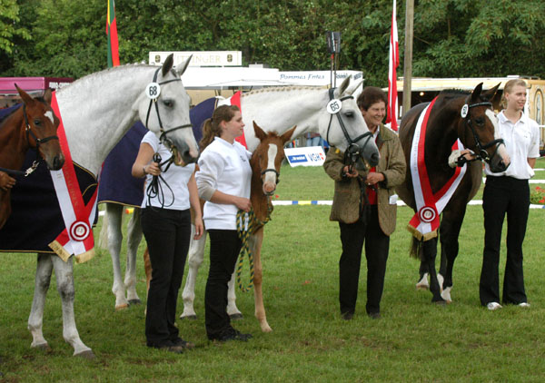 Mitglied der Siegerfamilie: Pr. u. StPrSt. Thalia v. Exclusiv u.d. Elitestute Thirza v. Karon - Foto: Peter Richterich