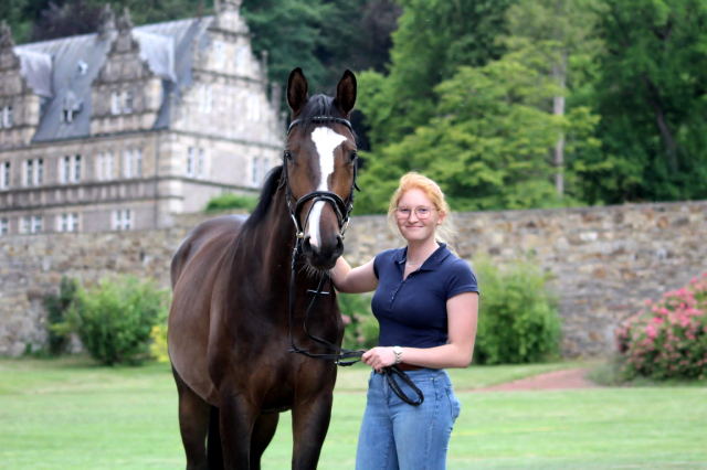 Tavolino - Dreijhiger Trakehner Wallach von High Motion u.d. Pr.u.StPrSt. Tavolara v. Exclusiv - Foto Pauline Rolfing - Gestt Hmelschenburg