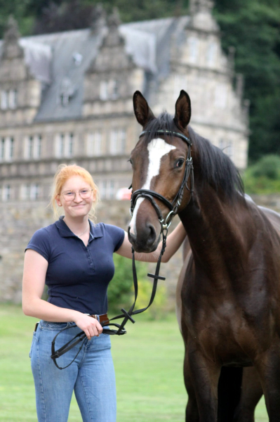 Dreijhiger Trakehner Wallach von High Motion u.d. Pr.u.StPrSt. Tavolara v. Exclusiv - Foto Pauline Rolfing - Gestt Hmelschenburg