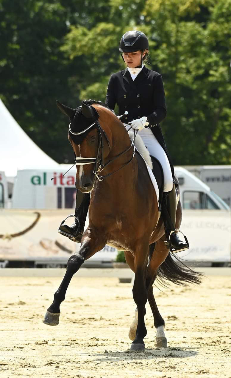 Juli 2022 - Trakehner Gestt Hmelschenburg  - Foto: Beate Langels