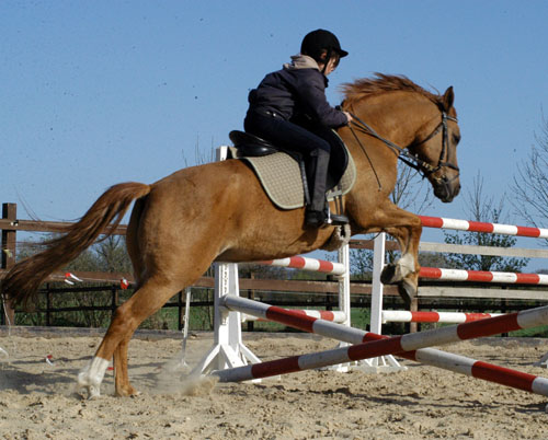 Thyra Langels und Donna Cara, Foto: Richard Langels