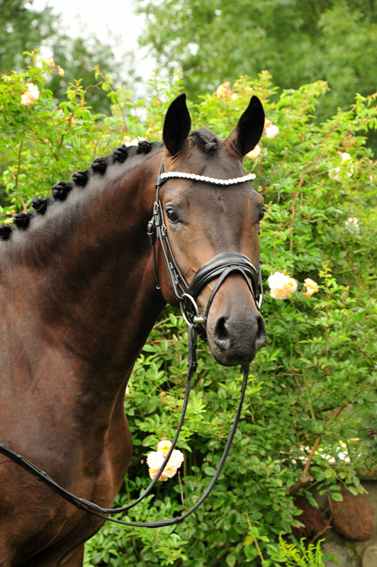 Impact von Millenium u.d. Pr.St. Impatie v. Vivus, Foto: Beate Langels