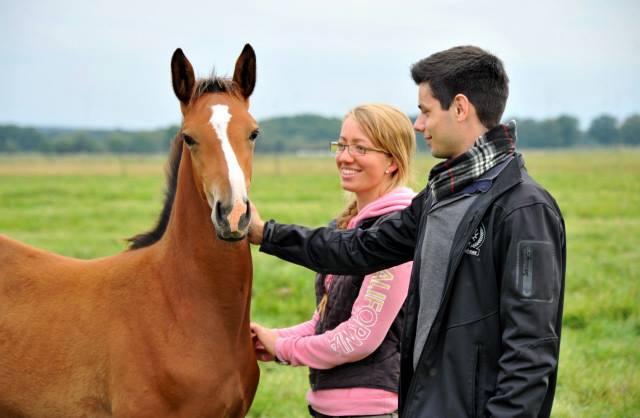 Kanditten  Trakehner Stutfohlen  von Freudenfest u.d. Karalina v. Exclusiv - im Gestt Schplitz - Foto Beate Langels