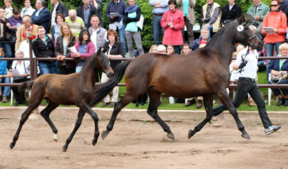 Kaisermelodie v. Enrico Caruso - Foto Rolf Sander