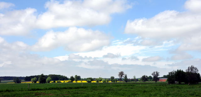 Gestüt Schäplitz - Foto: Beate Langels, Trakehner Gestüt Hämelschenburg