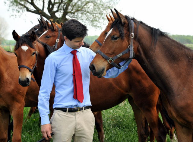 Richard und Katniss Everdeen v. Saint Cyr u.d. Pr.u.StPrSt. Karena v. Freudenfest - Gestt Schplitz im Mai 2013 - Foto: Trakehner Gestt Hmelschenburg- Beate Langels