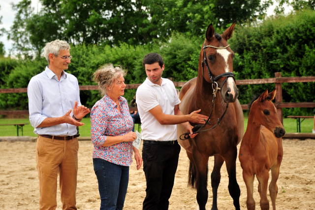 Trakehner Stutfohlen von Le Rouge x High Motion  - Gestt Hmelschenburg - Beate Langels