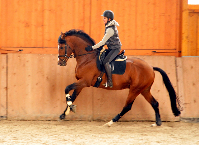 High Motion v. Saint Cyr x Summertime - Beate Langels Gestt Hmelschenburg