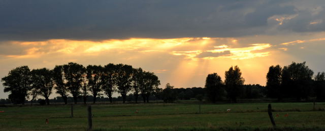 Sonnenuntergang in Schplitz - copyright Beate Langels, Trakehner 
Gestt Hmelschenburg